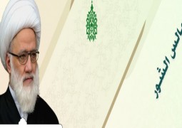 استفتاء حول مجالس الشور  سماحة المرجع الديني الشيخ محمد اليعقوبي (دام ظله)